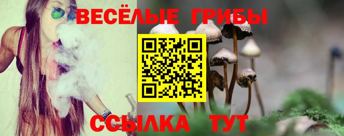 Псилоцибиновые грибы GOLDEN TEACHER  Вход с VPN  Галлюциногенные грибы ЛСД  Дубна 